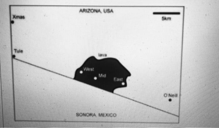 Solved Some populations of Arizona pocket mice live on | Chegg.com