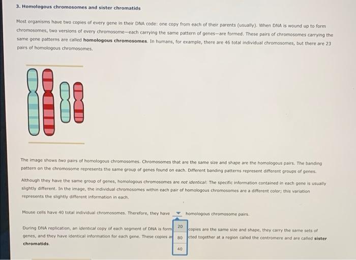 Solved 3. Homologous chromosomes and sister chromatids Most | Chegg.com