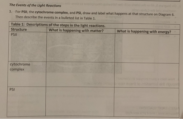 solved-the-events-of-the-light-reactions-3-for-psii-the-chegg