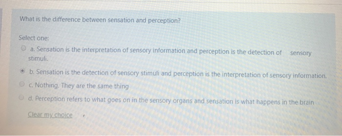 Are Sensation And Perception The Same Thing