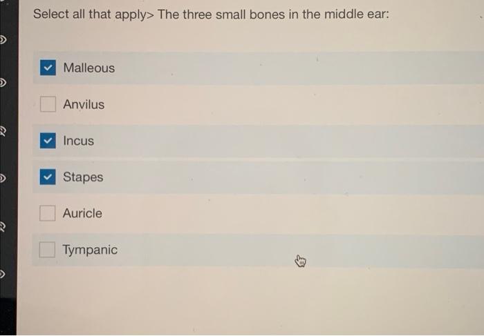 Select all that apply> The three small bones in the middle ear:
>
Malleous
Anvilus
Incus
?Stapes
Auricle
Tympanic
R
0