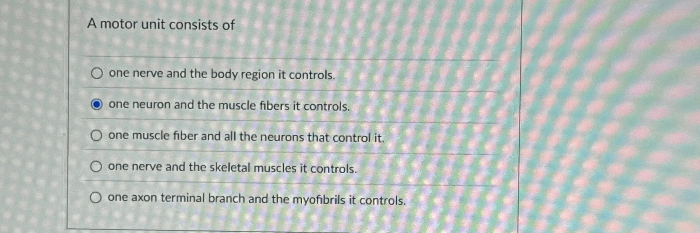 Solved A motor unit consists ofone nerve and the body region | Chegg.com