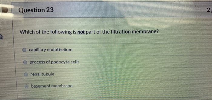 Which Of The Following Is Not Normally Found In Plasma Solved Question 21 Which of the following is not normally | Chegg.com