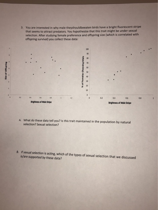 Study practice for sex exam