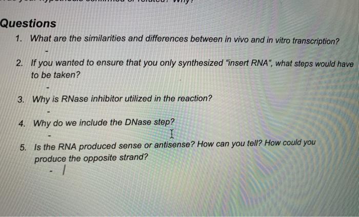 In Vivo vs. In Vitro: What Are the Differences?