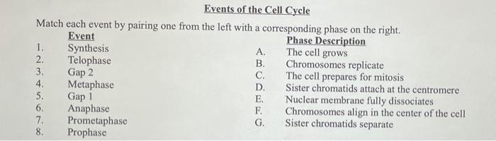 Solved Events of the Cell Cycle Match each event by pairing | Chegg.com