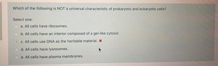 which one of the following is not a characteristic of eukaryotic cells