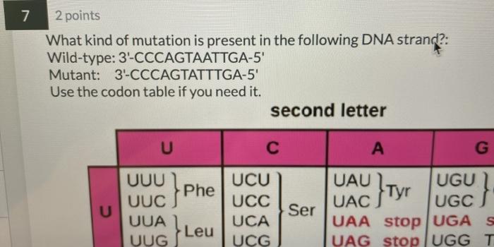 Solved 7 2 points What kind of mutation is present in the | Chegg.com