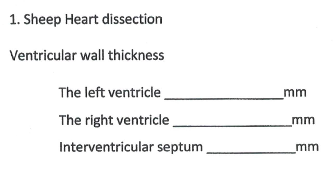 Solved 1. Sheep Heart dissection Ventricular wall thickness