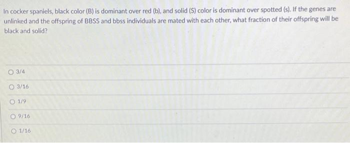 Solved In Cocker Spaniels, Black Color (B) Is Dominant Over | Chegg.com