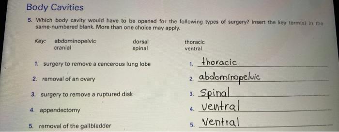 5. Which body cavity would have to be opened for the following types of surgery? Insert the key term(s) in the same-numbered 