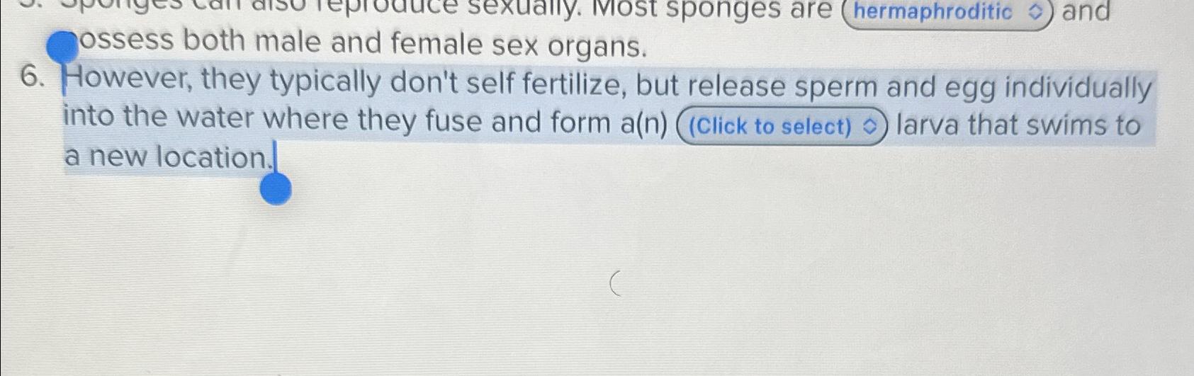 Solved sponges are (hermaphroditic hat(y) ) ﻿and6. ﻿However,