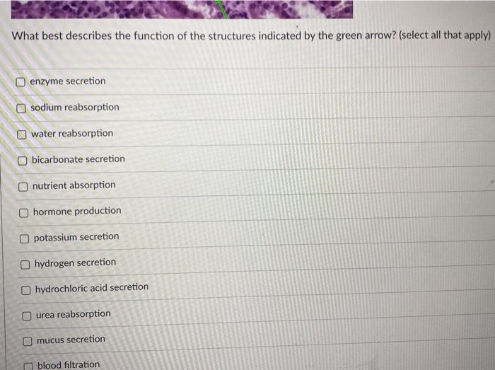 Solved what best describes the function of the structures | Chegg.com