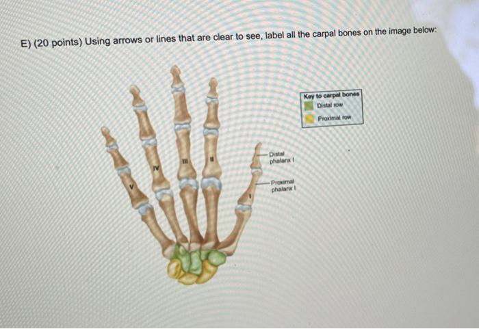 Solved E) (20 points) Using arrows or lines that are clear | Chegg.com