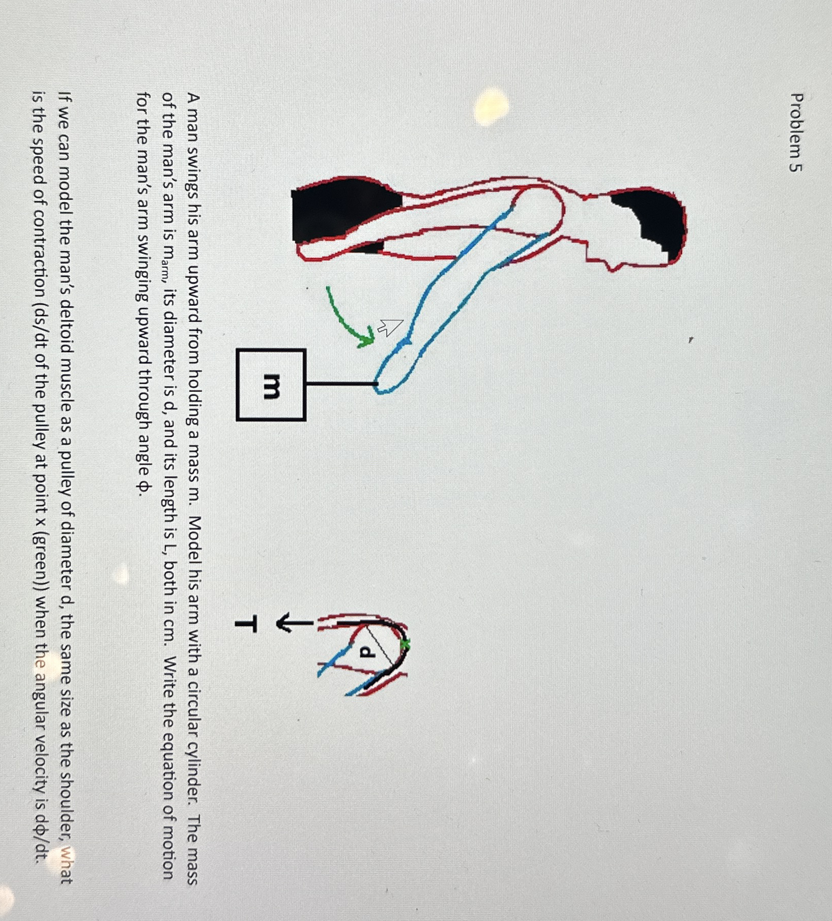 Solved Problem 5A man swings his arm upward from holding a
