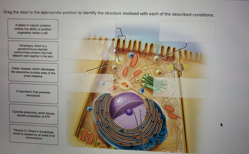 How Is Location Described