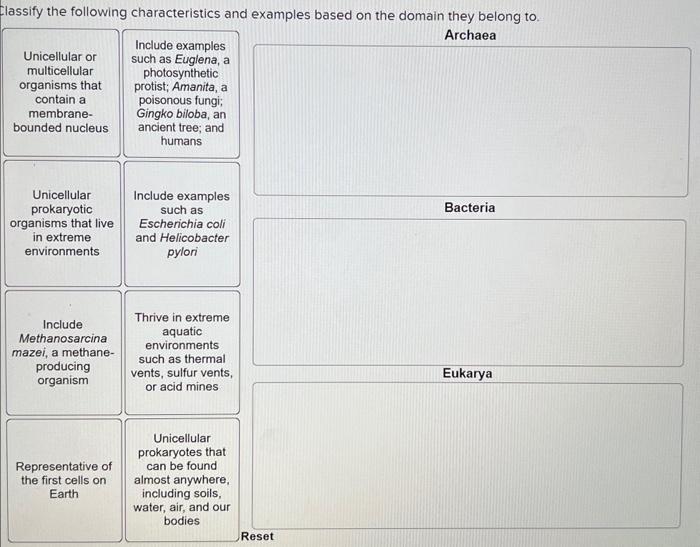 Solved Classify the following characteristics and examples | Chegg.com