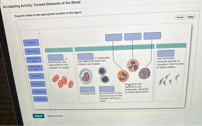 Solved Art-labeling Activity: Formed Elements of the Blood | Chegg.com