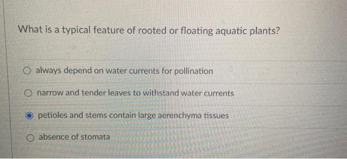 Solved What is a typical feature of rooted or floating | Chegg.com
