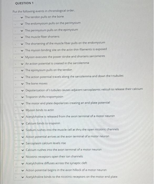 Solved QUESTION 1 Put the following events in chronological | Chegg.com