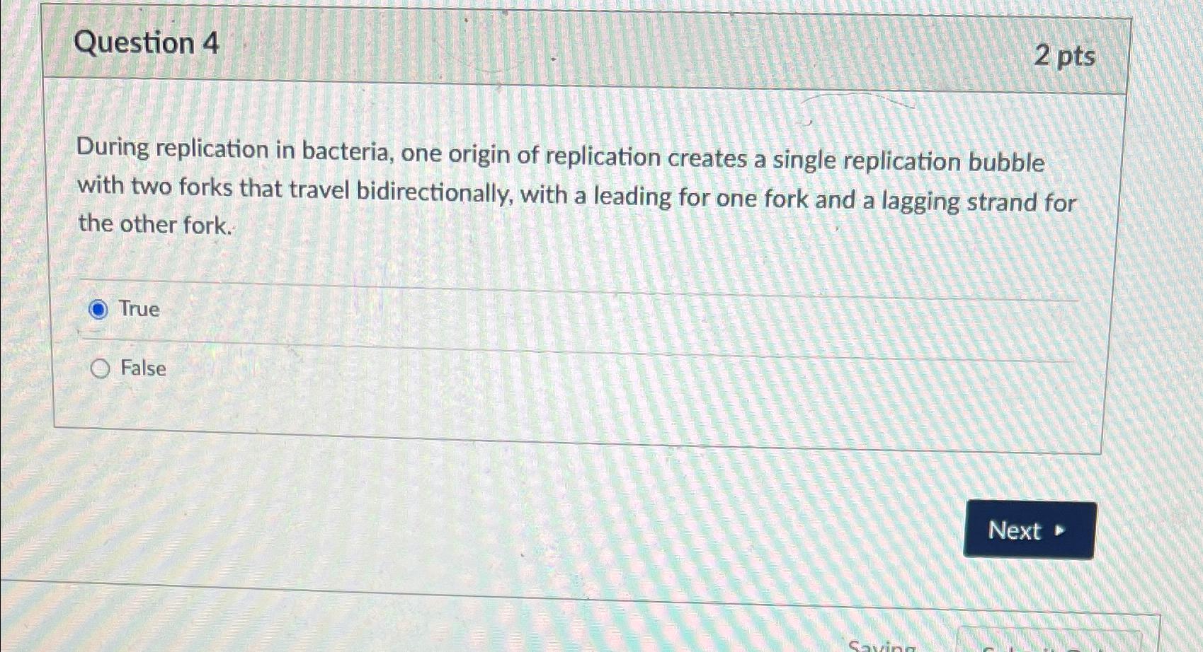 Solved Question 42 ﻿ptsDuring Replication In Bacteria, One | Chegg.com