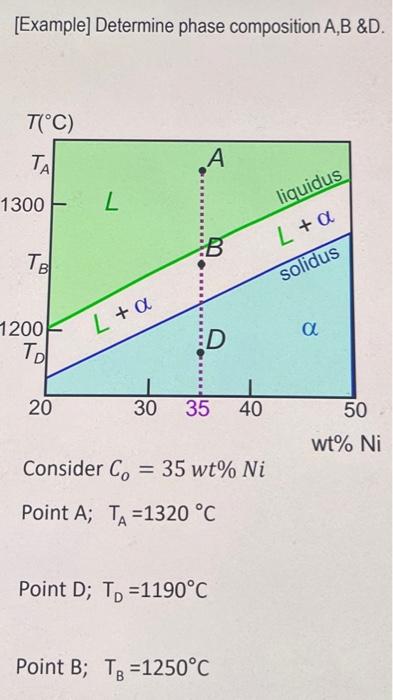 Solved [Example] Determine phase composition A,B &D. T(°C) | Chegg.com