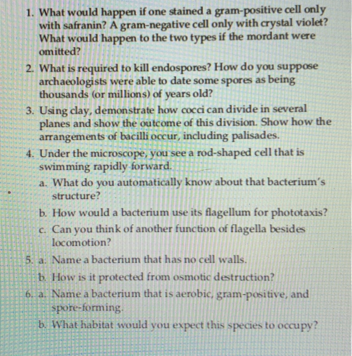 Solved RESSE 1. What would happen if one stained a | Chegg.com