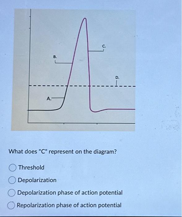 Solved What does " C " represent on the diagram? Threshold