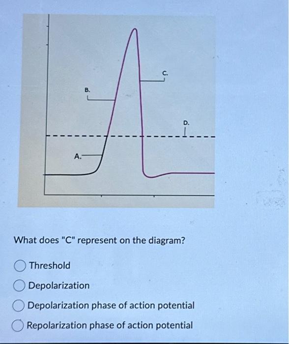 solved-what-does-c-represent-on-the-diagram-threshold-chegg