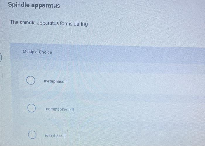 Spindle apparatus
The spindle apparatus forms during
Multiple Choice
metaphase II.
prometaphase II.
telophase II.