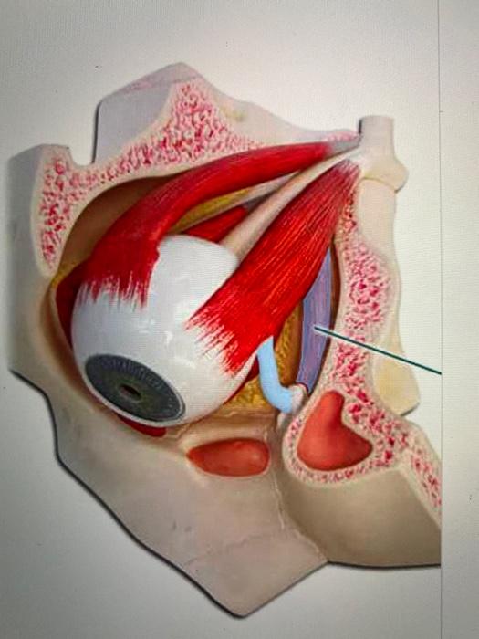 solved-5-lab-0-lab-15-lab-14-15-chegg