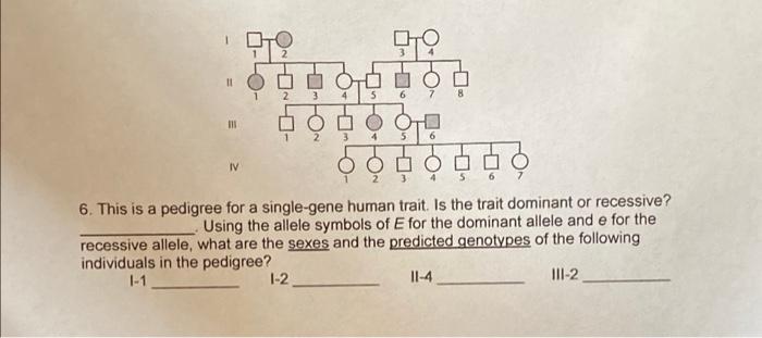 Solved 11 6 7 8 16 IND 6 Ooo 이오 IV S 6. This is a pedigree | Chegg.com