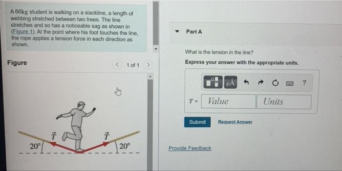 Solved A 66kg student is walking on a slackline, a length of | Chegg.com