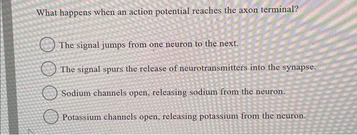 Solved What happens when an action potential reaches the | Chegg.com