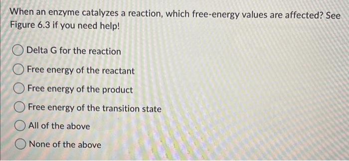 Solved When an enzyme catalyzes a reaction, which | Chegg.com