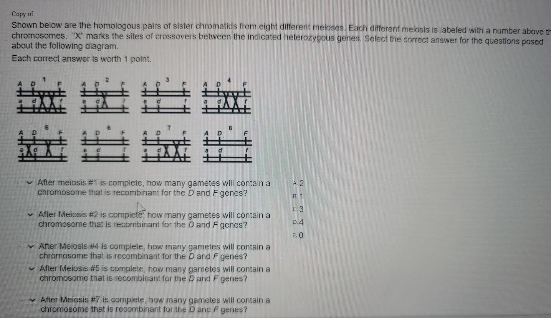 Copy of Shown below are the homologous pairs of | Chegg.com