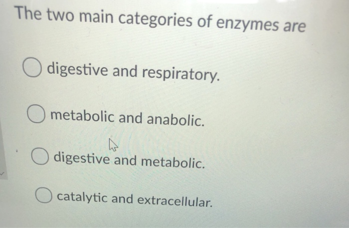 Solved The two main categories of enzymes are O digestive | Chegg.com