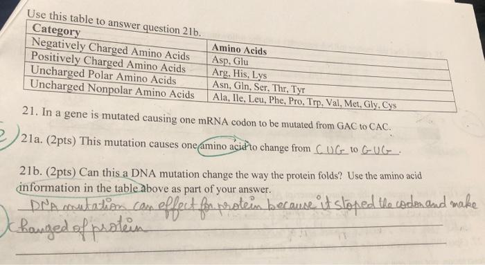 Solved 21. In a gene is mutated causing one mRNA codon to be | Chegg.com