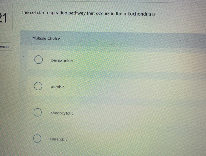Solved The cellular respiration pathway that occurs in the | Chegg.com