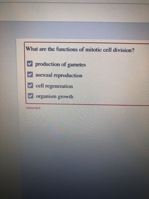 solved-what-are-the-functions-of-mitotic-cell-division-chegg