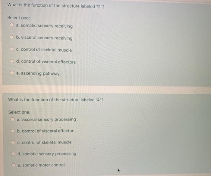 Solved 2 6 3 8 What is the function of the structure | Chegg.com