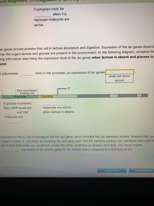 Solved Aa Aa 2. Regulation of prokaryotic gene expression | Chegg.com