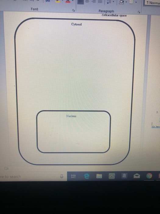 Solved way gven iecture and diaw it on the cell on page 3 in | Chegg.com
