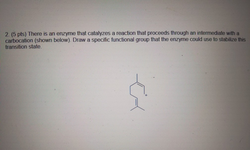 Solved 2. (5 pts) There is an enzyme that catalyzes a | Chegg.com