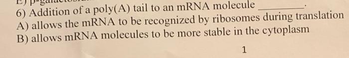 Solved 6) Addition of a poly(A) tail to an mRNA molecule A) | Chegg.com