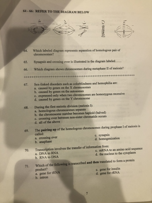 Solved 64 66 Refer To The Diagram Below 64 Which Labele