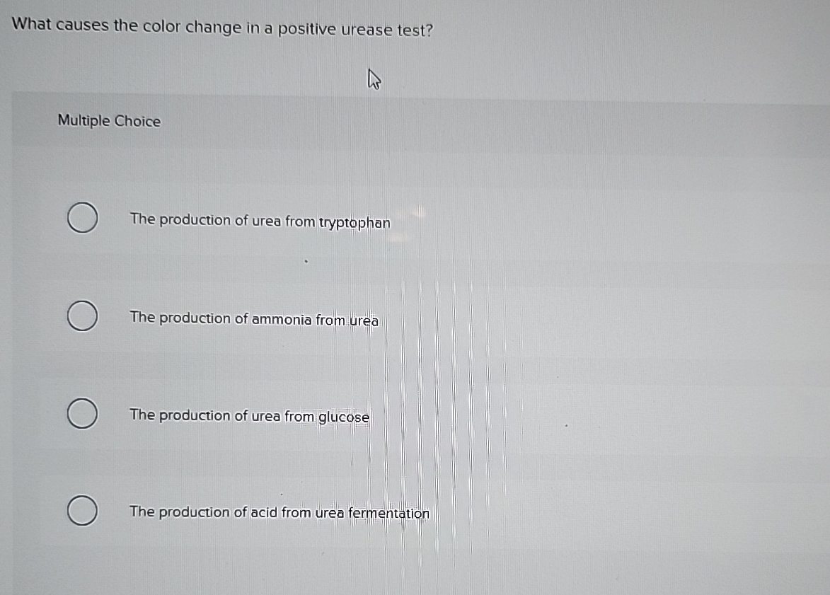 Solved What causes the color change in a positive urease | Chegg.com