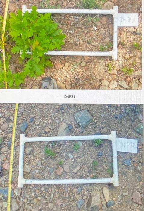 Solved Pictures of Each Plot: An index card was placed next | Chegg.com