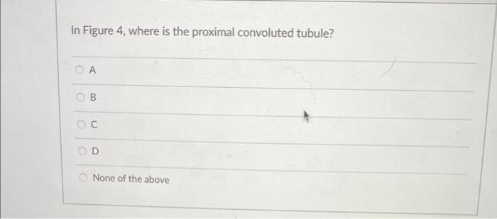 In Figure 4, where is the proximal convoluted tubule?
A
B
C
D
None of the above