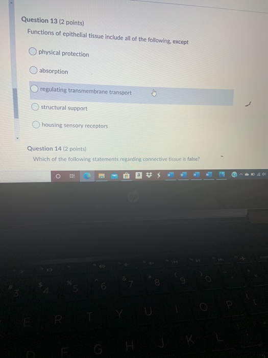 Solved Question 13 (2 Points) Functions Of Epithelial Tissue | Chegg.com Solved Question 13 (2 Points) Functions Of Epithelial Tissue | Chegg.com